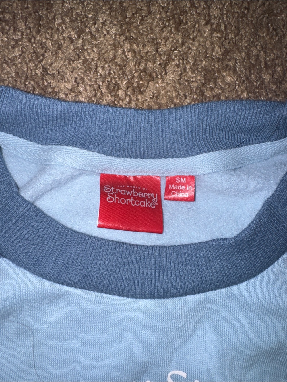 World of Strawberry Shortcake Blue Striped Crop Sweatshirt - Picture 2 of 4